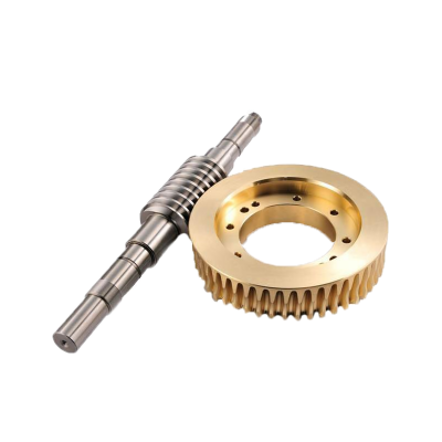 Brass worm gear and steel shaft