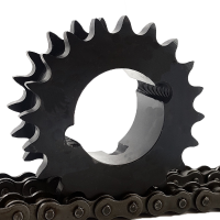 Taper bore double simplex sprocket with black oxide